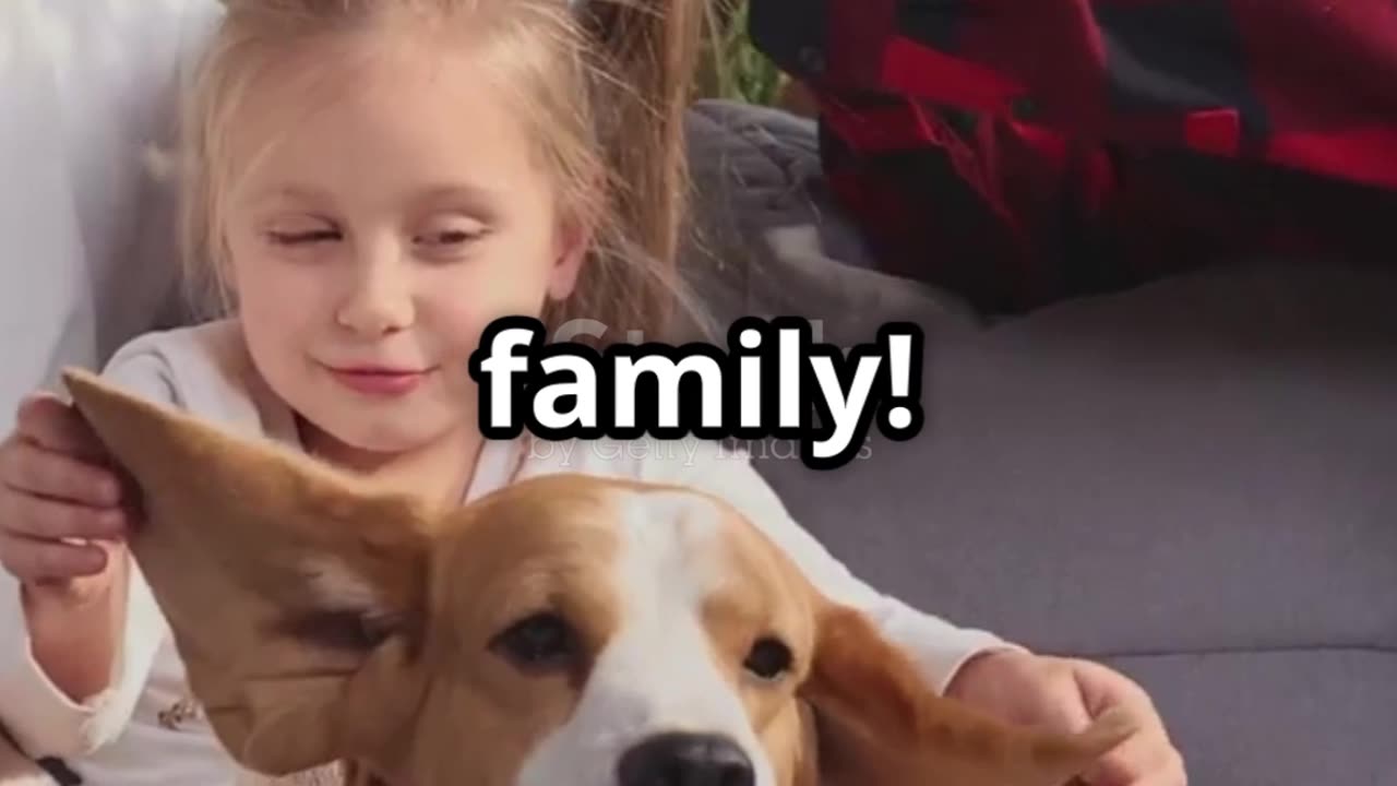 5 Essential Tips Every Pet Owner Must Know!