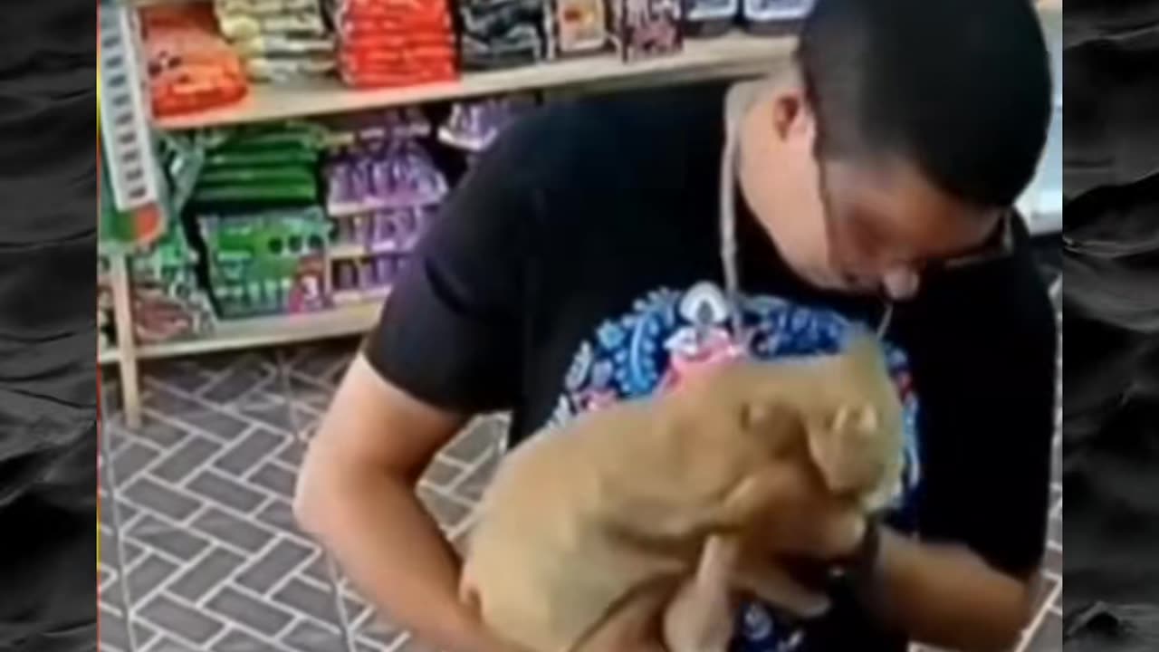 😱👻 The Scariest Paranormal Encounters! Part 57 | TheHauntingHour