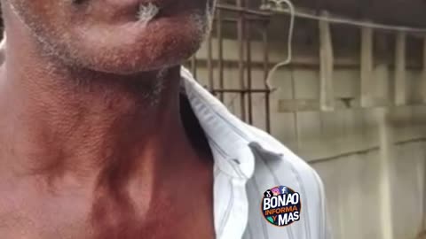 Angelina por Celular