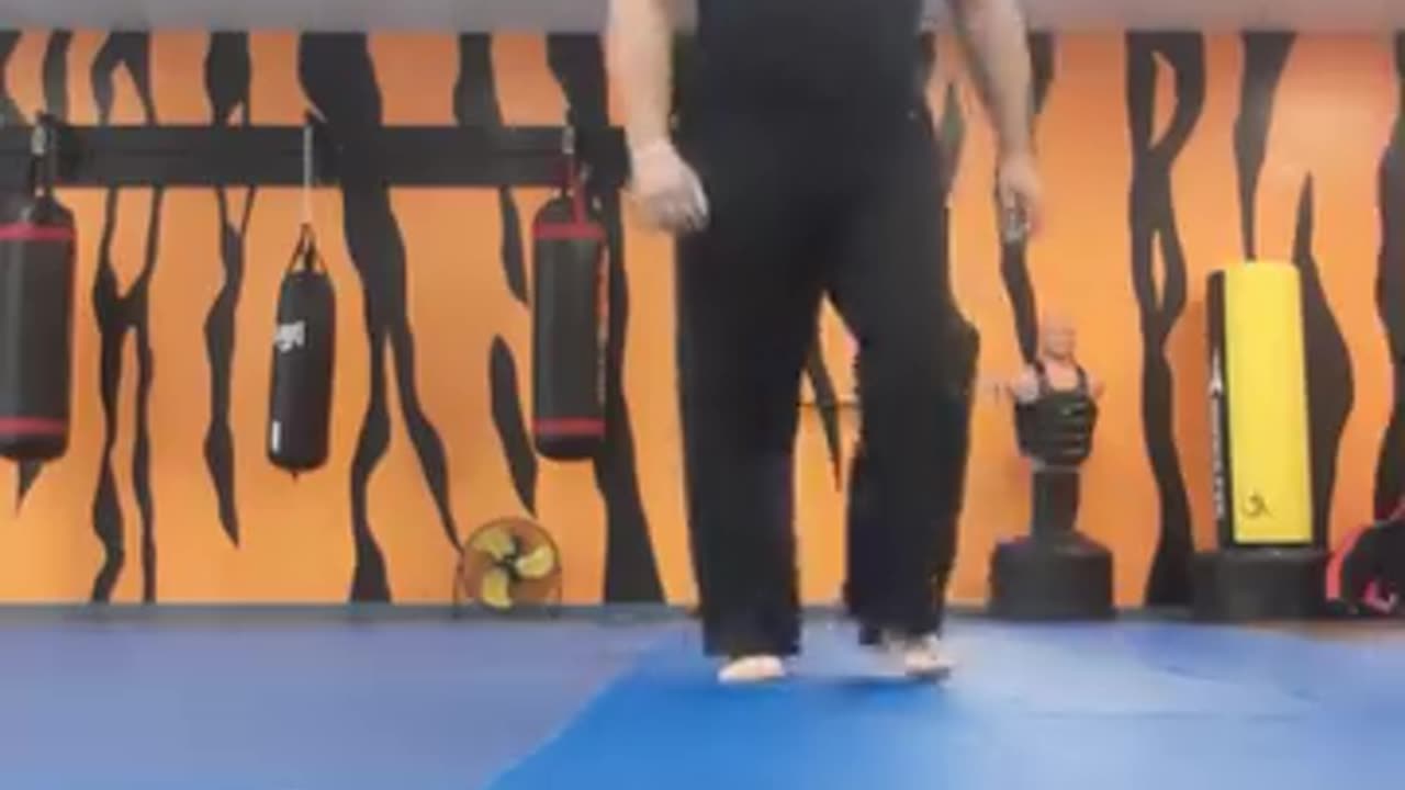 Tong Hap Kwan Hoshinsul Kicking Techniques