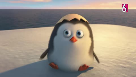 [Clip] Los Pingüinos del Madagascar: La Película | El Rescate de Cabo | Canal 6 (El Salvador 🇸🇻)