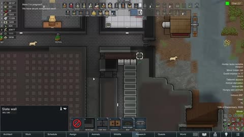 308 Rimworld w Necomi