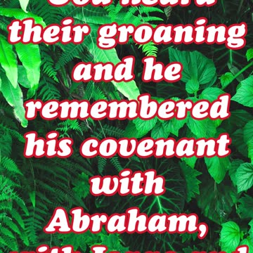 "God Remembers His Covenant and Sees His People’s Suffering" Exodus 2:24,25#shortvide #youtubeshorts