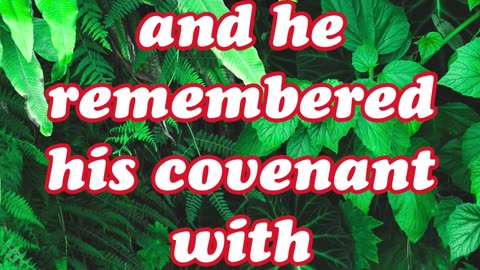 "God Remembers His Covenant and Sees His People’s Suffering" Exodus 2:24,25#shortvide #youtubeshorts