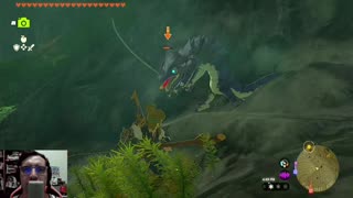 The Legend of Zelda Tears of the Kingdom | Ep. 122 - Message in a Bottle & Walnot Cave