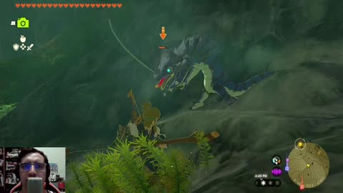 The Legend of Zelda Tears of the Kingdom | Ep. 122 - Message in a Bottle & Walnot Cave