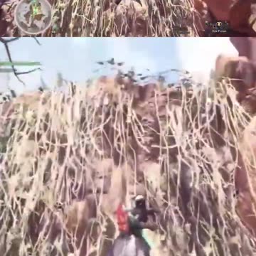 McDicken. Monster Hunter? He's multilingual.