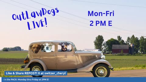 OutLawDogs LIVE! Ep. 120-Law & Order: USA Unit