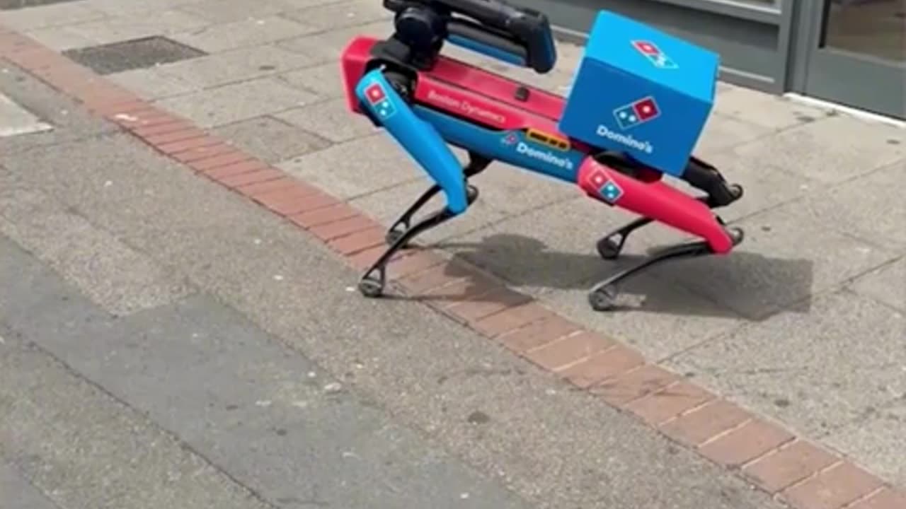🤖✨ Watch a Robot Dog Deliver Pizzas! | FeedMyCuriosity