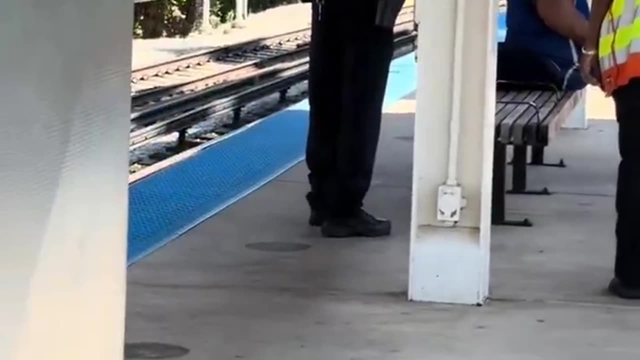 How Many Women Had to Be Hit Before Chicago Finally Stopped Him?