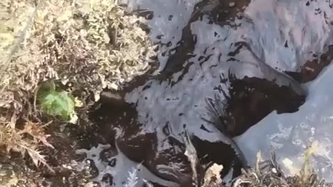 😱🧿 Can Someone Explain This Unsettling Discovery? | TheHauntingHour