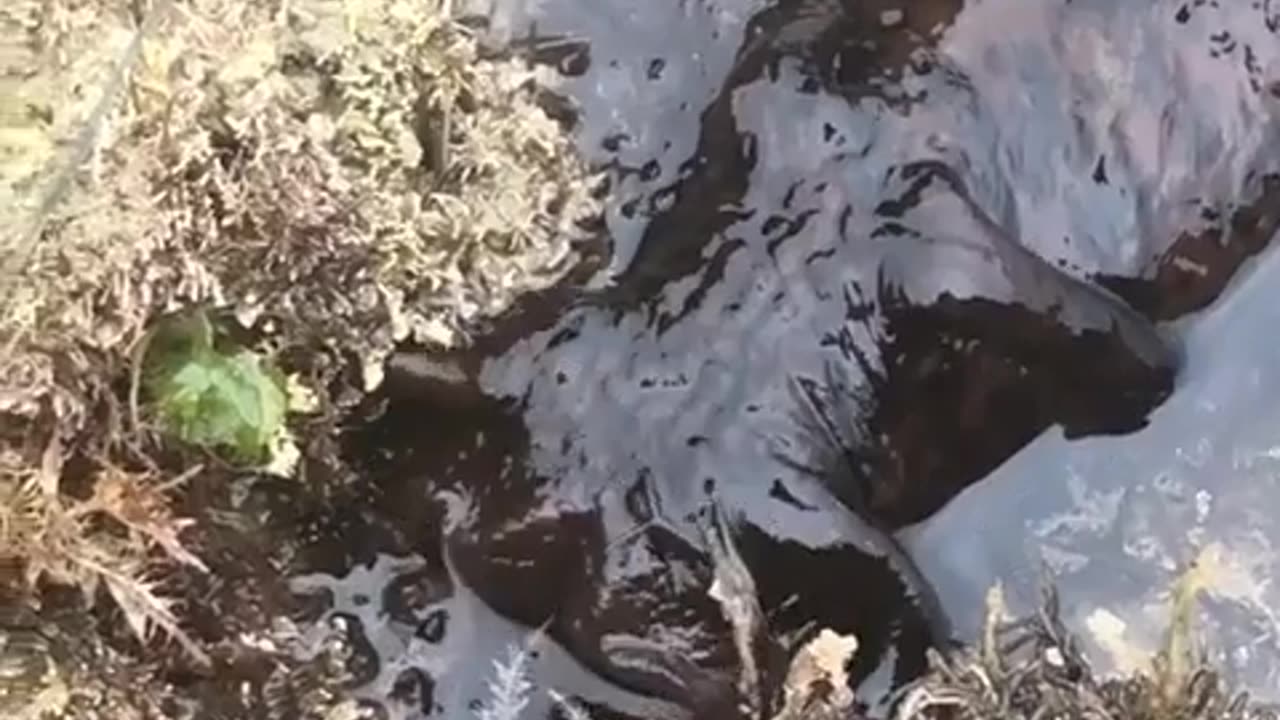 😱🧿 Can Someone Explain This Unsettling Discovery? | TheHauntingHour