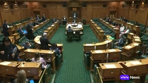 Te Pāti Māori fallout: Expelled MPs skip Parliament amid party tension