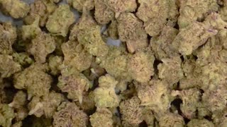 THCa Flower - 1 oz - Karamel Kandy