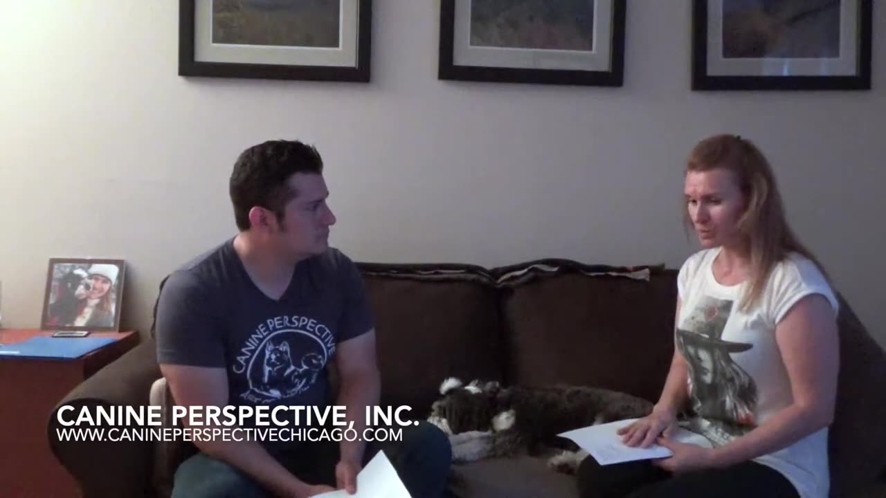 Client Interview: Veterinary Behaviorist and Board & Train Didn't Work