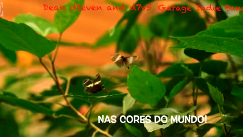 Nas Cores da Vida - Dean dSeven and d7v5 - Take 1 - February 13 2025 - Direitos Reservados