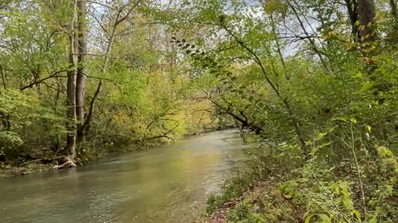 My why (and testimony). Part 1