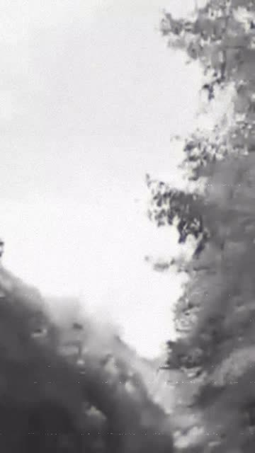 Pimp-Cat on the subject of Creampies