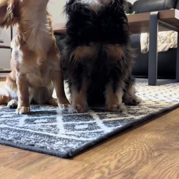 One of my favourite spaghetti westerns theme 😍