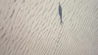 Will We Ever Be Friends Again