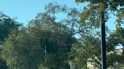 Florida Man Climbs on Top of Moving Vehicle