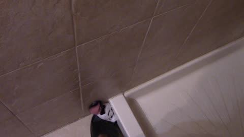 Dylan The Sponge Take 3