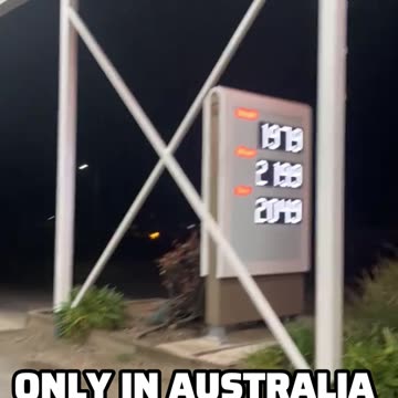 Only in Australia 😍😍😍 beautiful koala 🐨