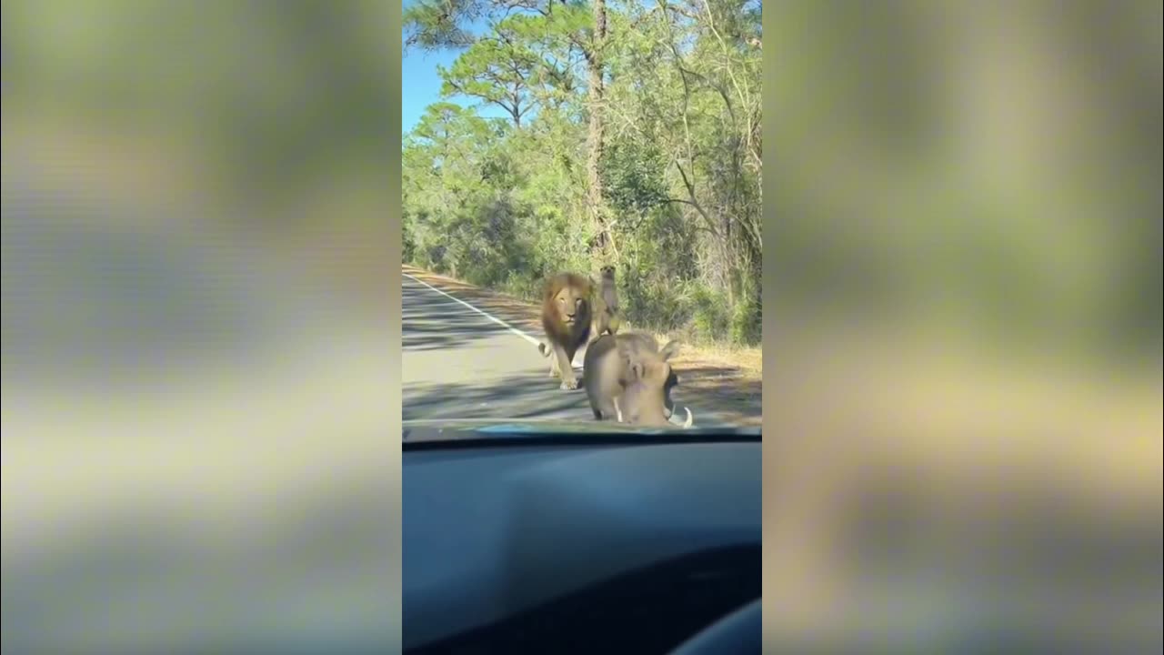 Imagine Being Late to Work… and THIS Is the Excuse You Give