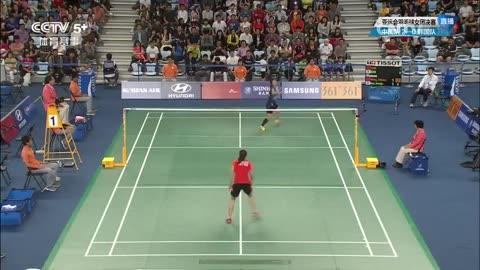 2014仁川亞運女團Final WS03王適嫻(CHN)VS裴延姝(KOR)3-3