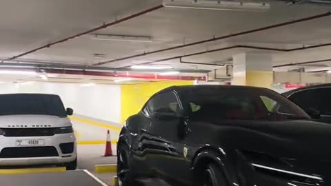 🏎️ Lamborghini Revs Up with a V12 Symphony! | LuxurySportsCars