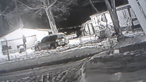 stalker in cloaking fails he is lighted up