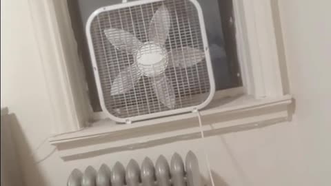 Advocates, pols demand probe over NYPD response to chaotic anti-ICE protest