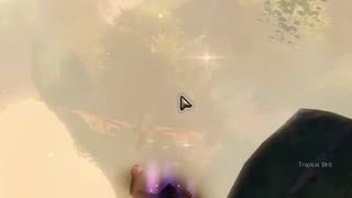 Amnytas Diving Goggles (Achievement Guide) - Guild Wars 2
