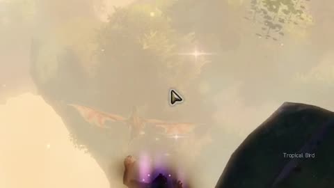 Amnytas Diving Goggles (Achievement Guide) - Guild Wars 2