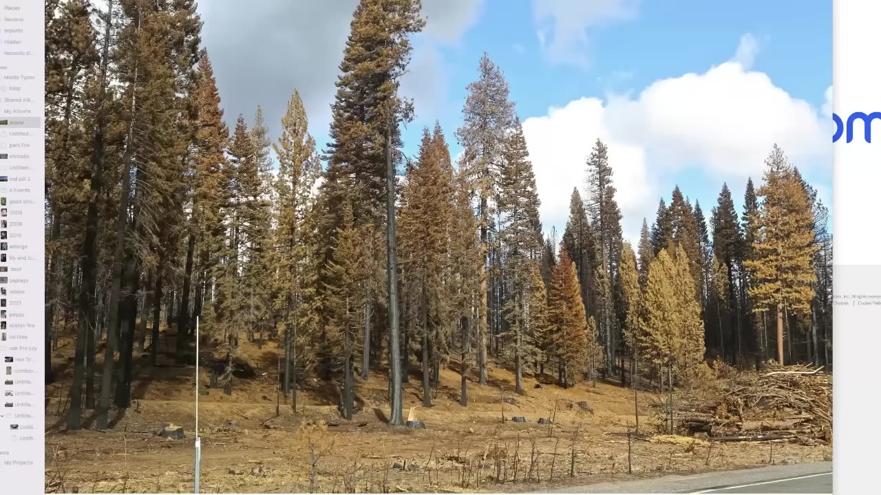 Wildfires Caused by Directed Energy Weapons Agenda 2030