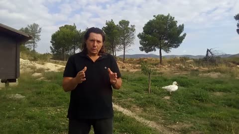 Comment prendre soin des oies jars et ce que vous devez savoir sur celles-ci