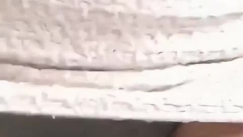 Top 10 SILLIEST Hot Girls Moments! 😜 (Cutest Goofy Energy 2026)