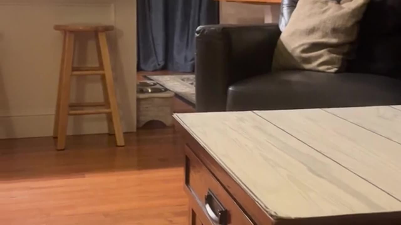 😱🤔 Paranormal Activity or Just Silly Behavior? | TheHauntingHour