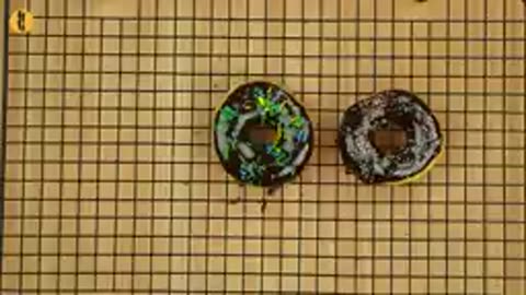 Homemade Chocolate Donuts Recipe - doughnut recipe By Food Fusion