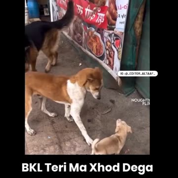 Does size matter 🤔