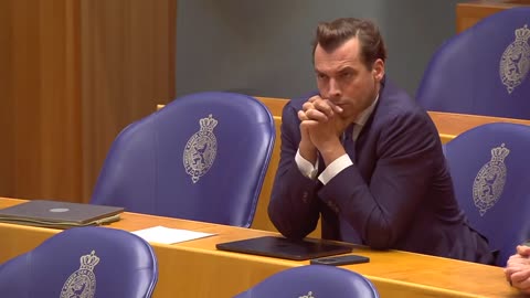 Lidewij de Vos