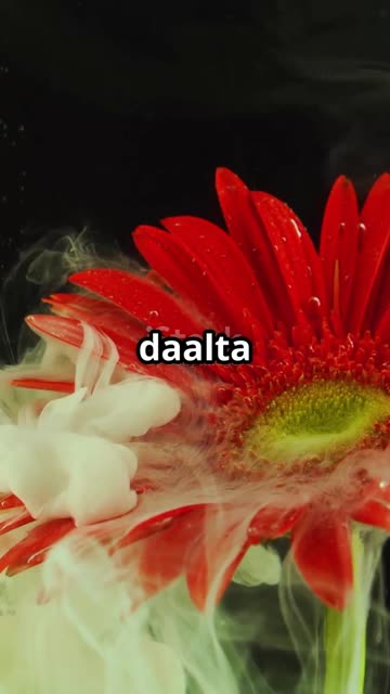 Magic Paper Flower 🌸 | Easy Science Trick for Kids #shorts