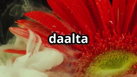 Magic Paper Flower 🌸 | Easy Science Trick for Kids #shorts