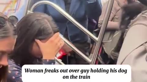 Black woman assaults passengers on train
			