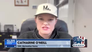 WARROOM SPECIAL: 40 ALL-NATURAL BEEFSTICK BUNDLE FOR $79.00 Only At meriwetherfarms.com