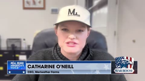 WARROOM SPECIAL: 40 ALL-NATURAL BEEFSTICK BUNDLE FOR $79.00 Only At meriwetherfarms.com