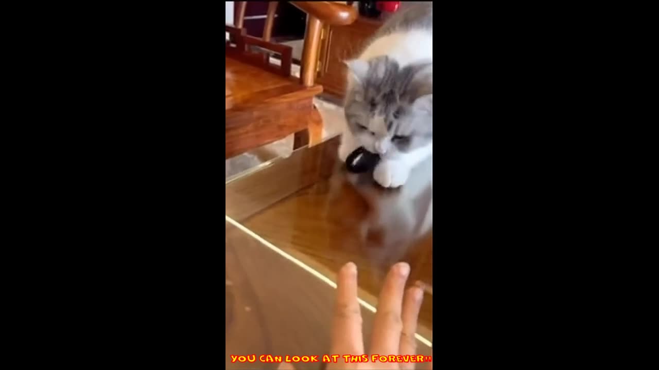 You can look at this FOREVER!!