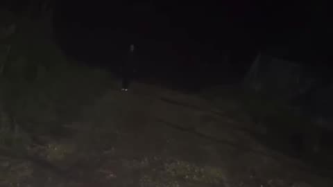 A man had just moved into his new property with his dogs when one midnight.
