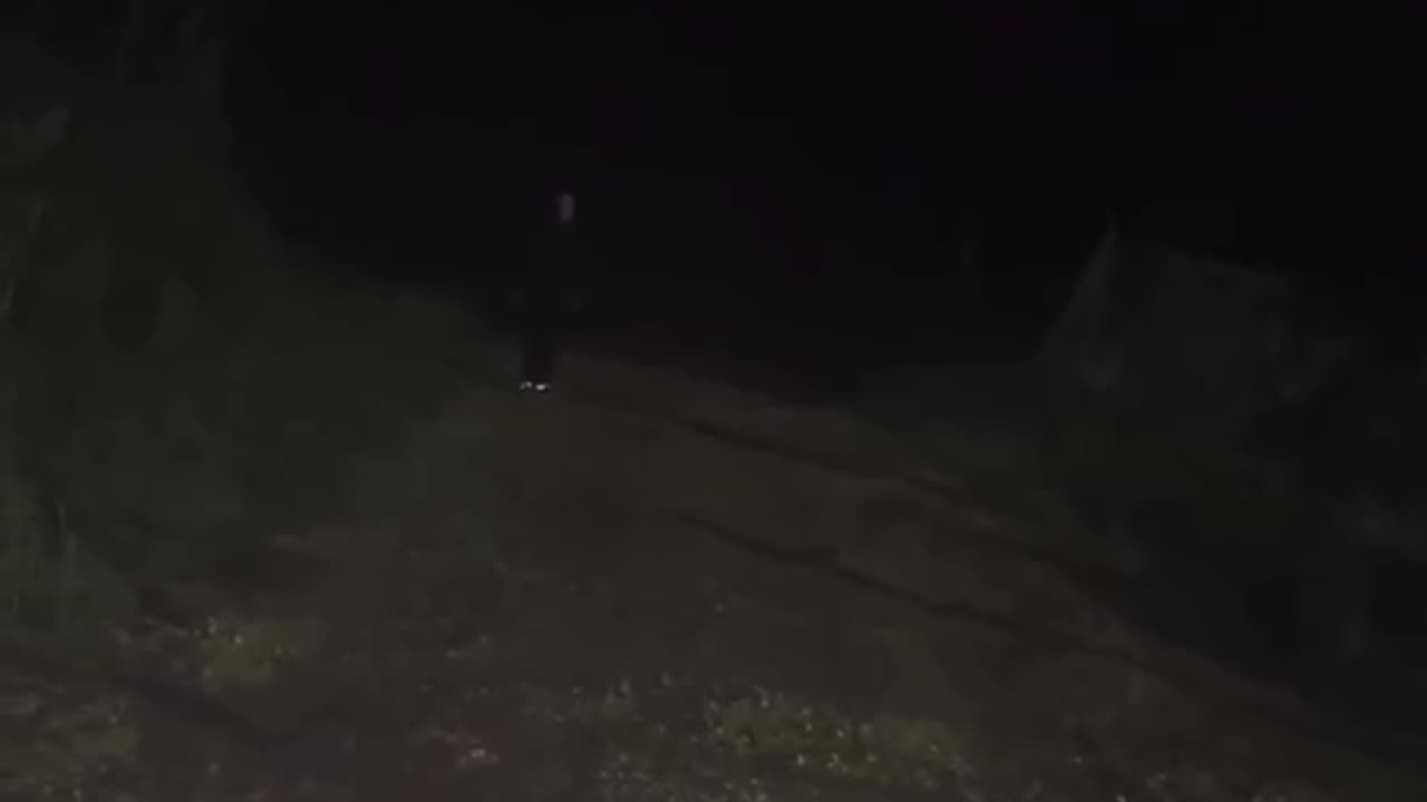 A man had just moved into his new property with his dogs when one midnight.