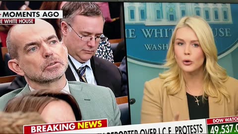 🇺🇸🔥HOLY MACKEREL‼️ Karoline Leavitt absolutely EVISCERATES Fake Woke Leftist Activist